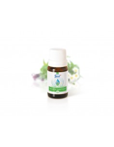 Blends de Aceites...